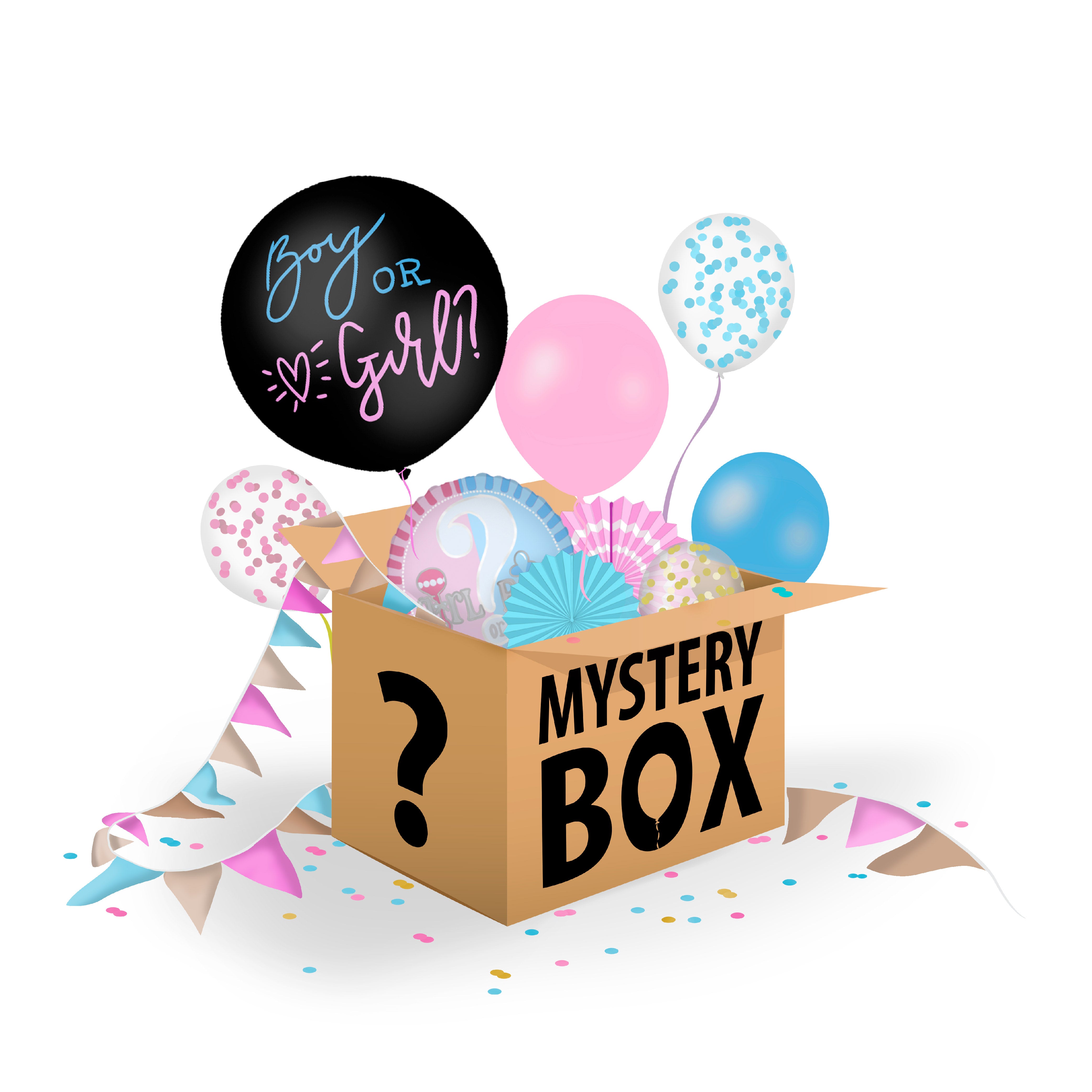 Mystery Box Gender Reveal